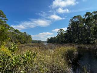 Dispersed Woods Camp