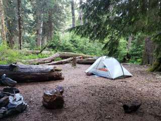 Nine Stream — Olympic National Park