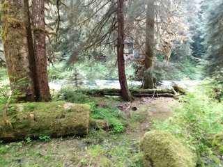 Success Creek — Olympic National Park