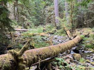 Spike Camp — Olympic National Park