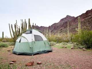 Alamo Canyon Primitive Campground — Organ Pipe Cactus National Monument