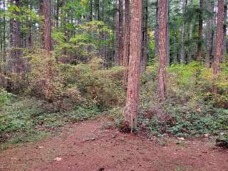 Quilcene Community Campground