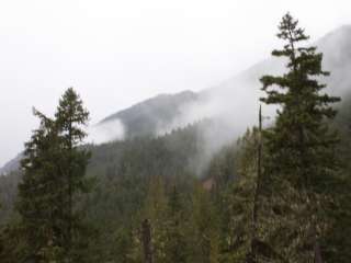 Dungeness Forks Campground