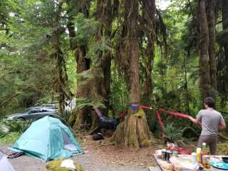 Hamma Hamma Campground