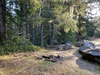 Slab Camp/Deer Ridge Trailhead