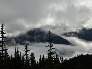 Sunnybrook Meadows — Olympic National Park