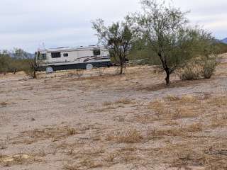 Ajo Regional Park - Roping Arena Camping Area