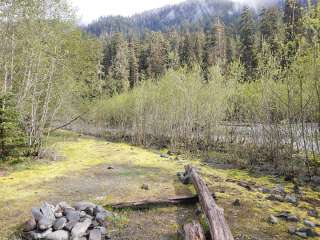 Happy Hollow — Olympic National Park