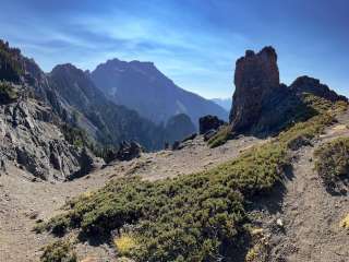 Heather Park — Olympic National Park