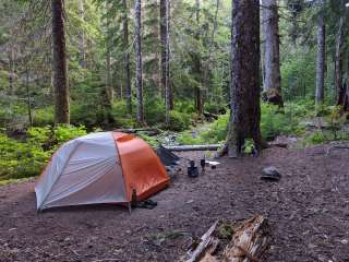 Big Timber — Olympic National Park