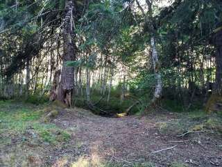 Camp Wilder — Olympic National Park