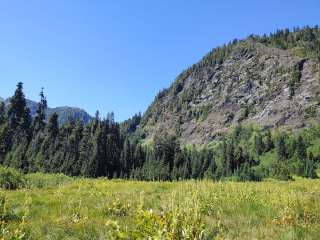 Honeymoon Meadows — Olympic National Park