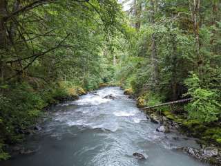 Dose Forks — Olympic National Park