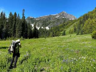 Dose Meadows — Olympic National Park