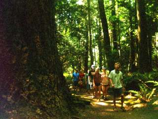 Rolfe Cove Campground — Matia Island Marine State Park