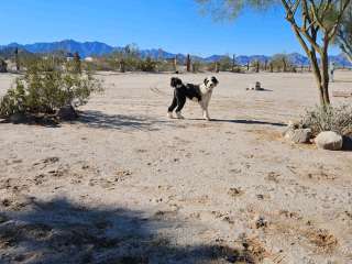 Old Desert Bull RV Park