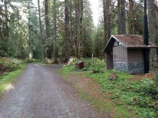 Mount Baker-Snoqualmie National Forest Park Creek Campground