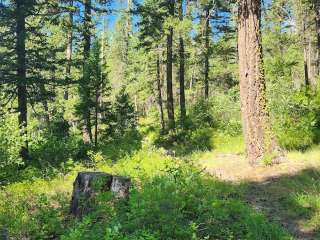 Colville National Forest Ferry Lake Campground