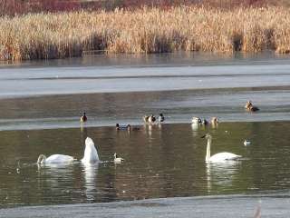 Conners Lake