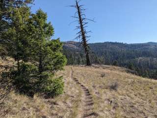 Thirteen Mile Trailhead