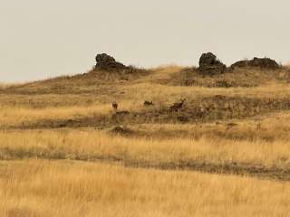 Rock Creek BLM Campground