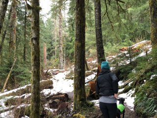 Barclay Lake