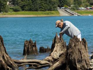 Alder Lake Park