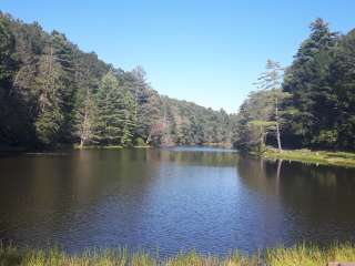 Seneca State Forest