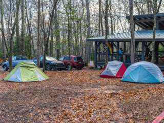 New River Gorge Campground - American Alpine Club