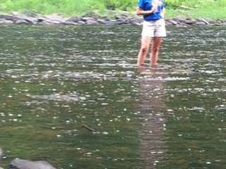 Riverside Campground — Watoga State Park