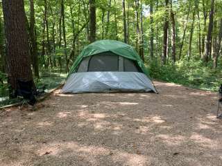 Brandywine Lake Campground — Shenandoah Wildlife Management Area