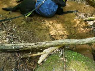 Cedar Creek State Park