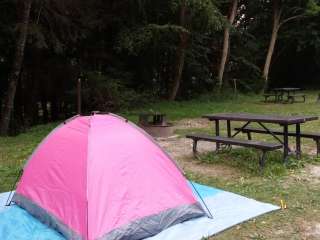 Gauley Tailwaters Campground — Gauley River National Recreation Area