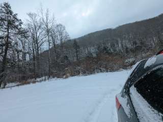 Lower Glady Dispersed Campground