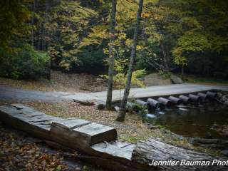 Kumbrabow State Forest