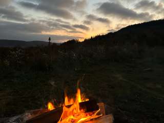 Dispersed camping at Mower Basin