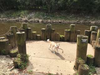 Old Orchard Campground — Beech Fork State Park