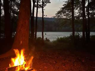 Sleepy Creek Wildlife Management Area