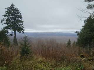 Gaudineer Knob camp sites