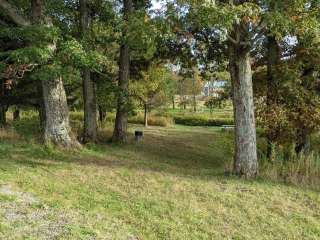 Possum Tail Farm Camp 