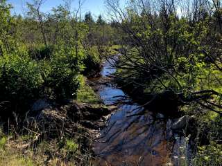 Brushy Ridge Road Dispersed