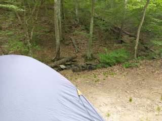 Plum Orchard Lake Wildlife Management Area — Plum Orchard Wildlife Management Area