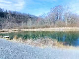 Edwards Run Wildlife Management Area