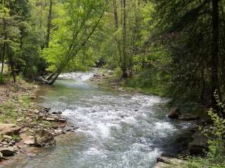 Panther State Forest