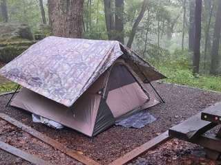 Monongahela National Forest Bear Heaven Campground