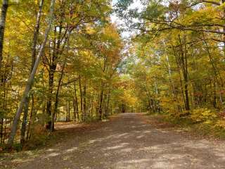 Perch Lake Campground