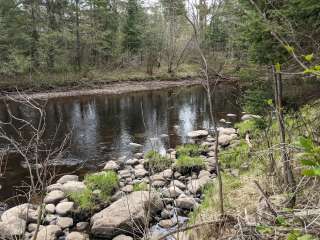 St Croix State Forest Tamarack River Horse Campground