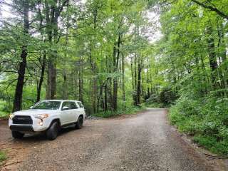 Bennet Gap on Avery Creek Road