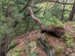 Mill Bluff State Park