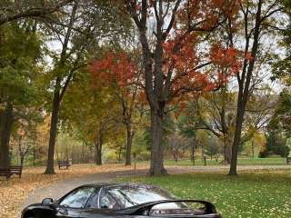 Albert Field Memorial Park